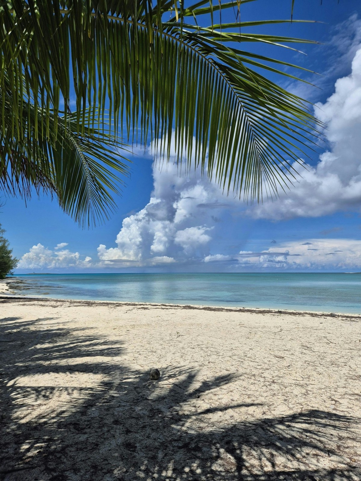 Caribbean Charter Planning
