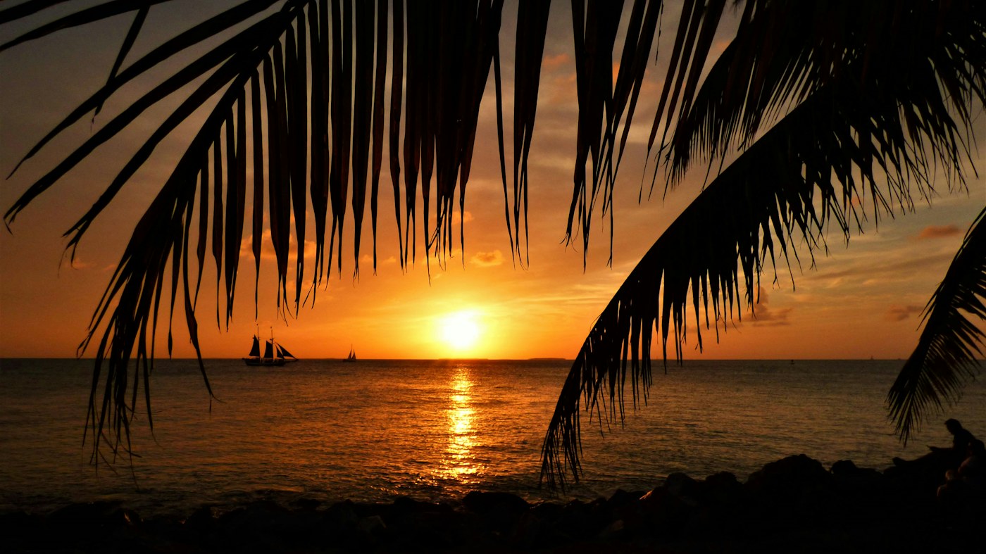 Palm silhouettes and sailboats at sunset off Fort Zachary Taylor beach in Key West